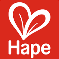 Hape International Inc. screenshot